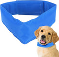 Collare rinfrescante per cani